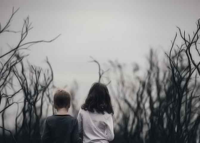 性价比最高的器测压文章